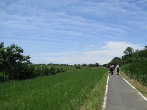 97再びサイクリングロード1