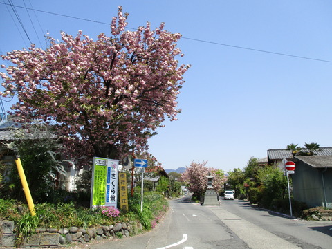 29白井宿1