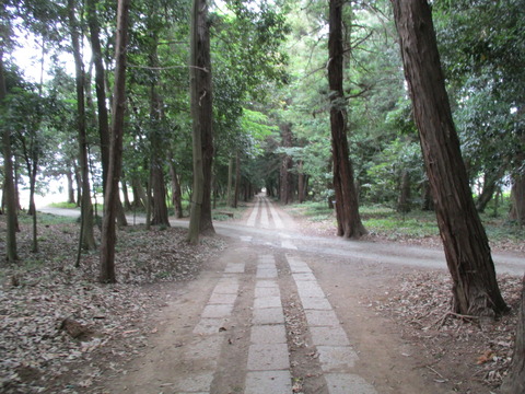 189参道3