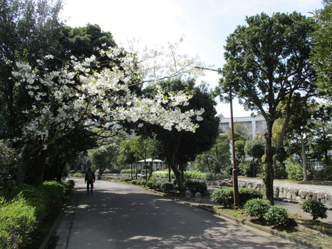 104遊歩道2