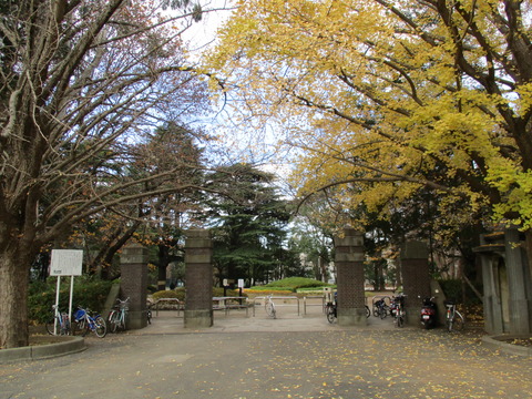 205松戸中央公園2