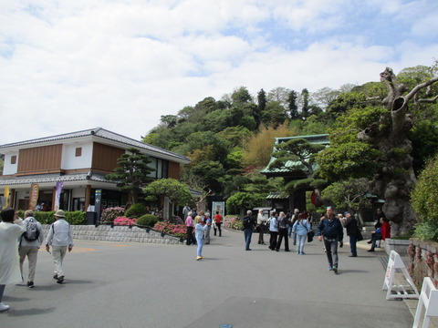 146長谷寺1