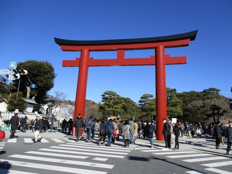 129鶴岡八幡宮