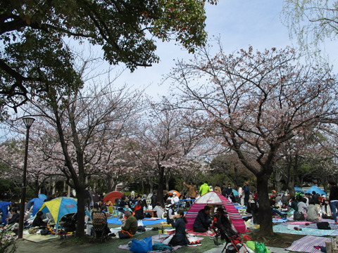 75公園3