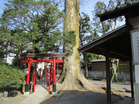 211南稲荷神社3