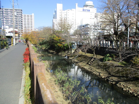 101清龍橋・坂川2