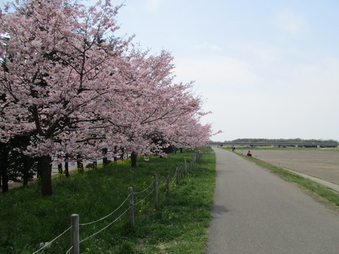 123小山総合公園18