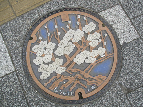 06梅