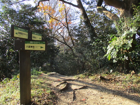 62分岐点2