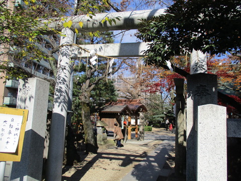 69松戸神社2