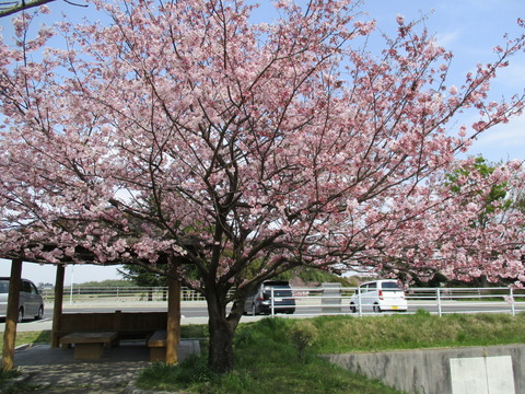 129川の一里塚5