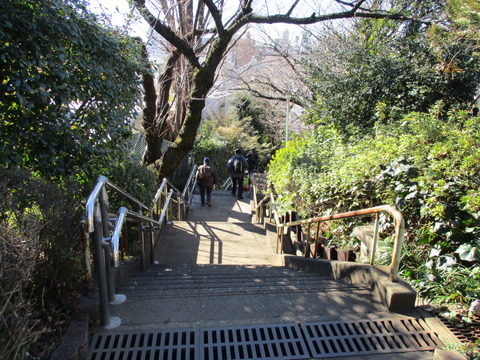 17西郷山公園10
