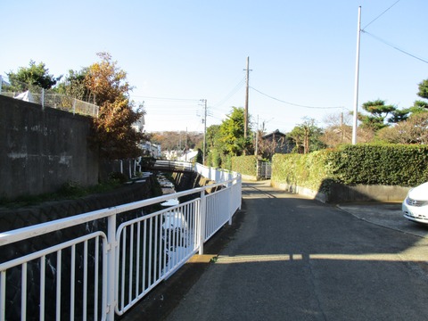 44血洗川沿い2