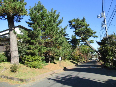 12江戸見附跡1
