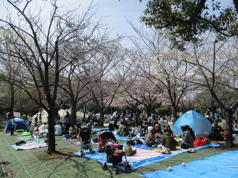74公園2