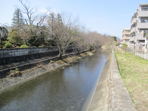 73清巌院橋4