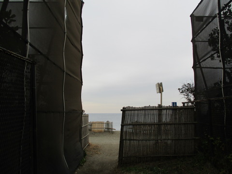 109S-54から2