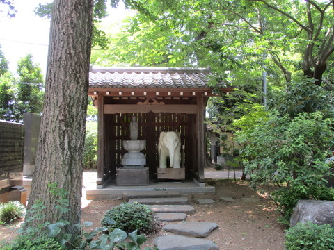 121徳星寺5