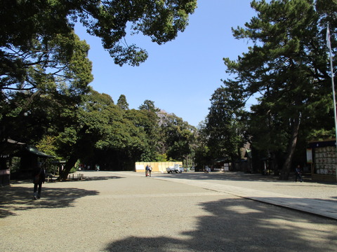 18氷川神社3