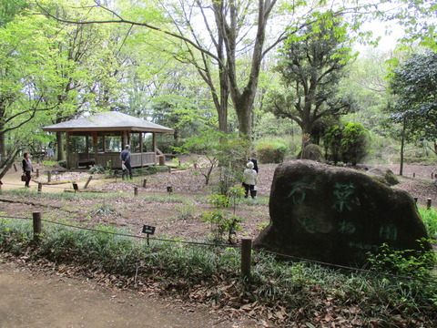 146万葉植物園2