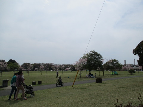112小山総合公園7