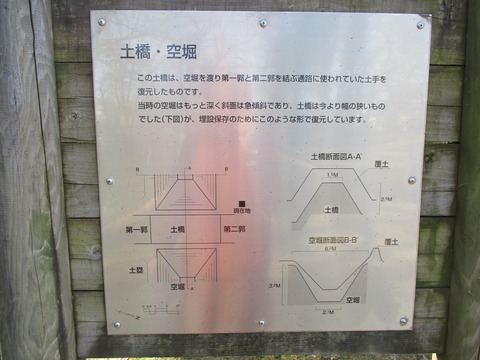 116水生植物園11