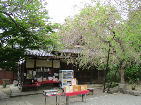 52社務所