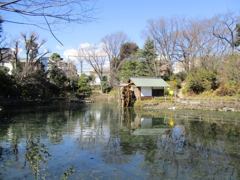 109鍋島松濤公園3