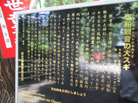 123大杉2