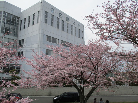172白鷗大学東側11