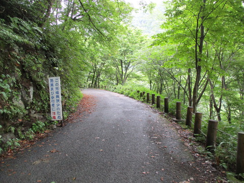72平坦な道2