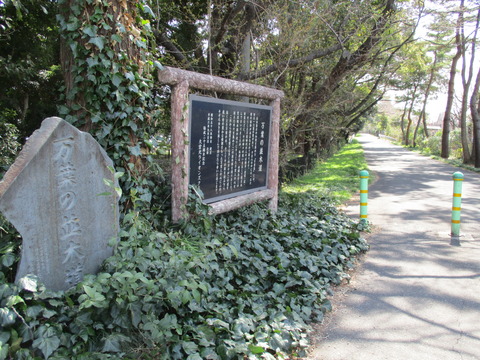 100再び見沼代用水6