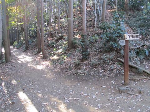 95獅子舞には行かない