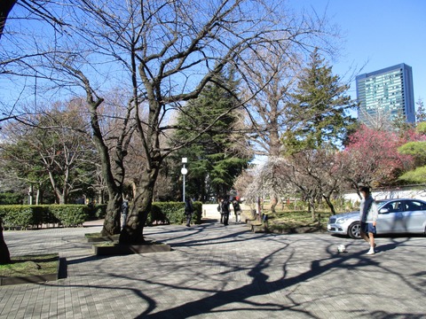 19菅刈公園2