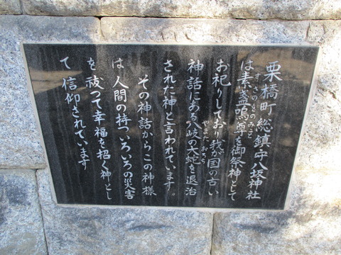 228鯉3
