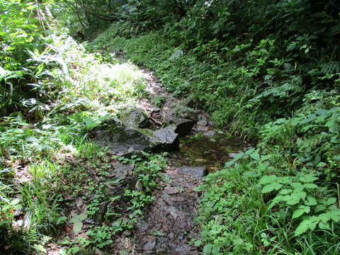 154新道5