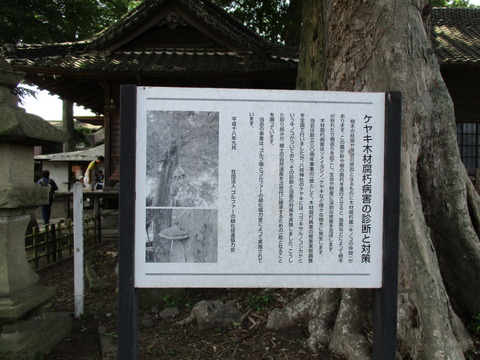 75八枝神社10