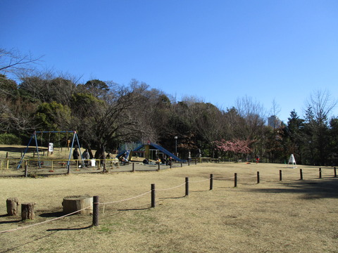 32公園全体
