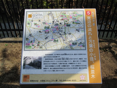 72万葉親水公園3