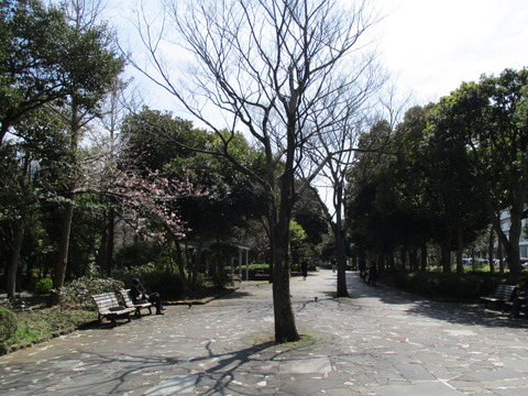 91清新町緑道2