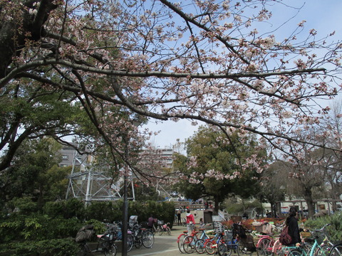 53宇喜田さくら公園4