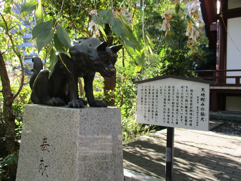 118稲毛神社7