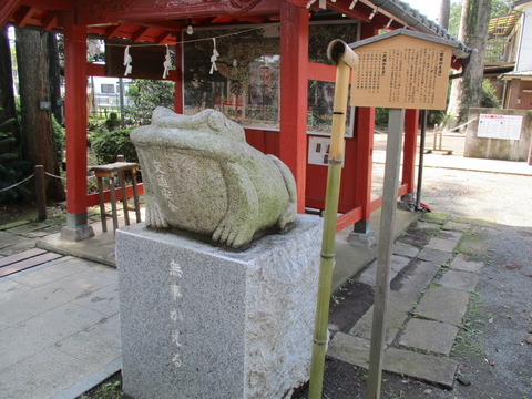 173無事かえる1