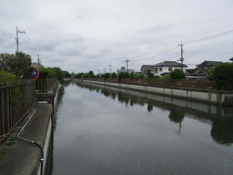 46菖蒲橋2
