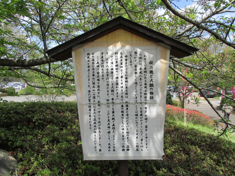 130霜子2
