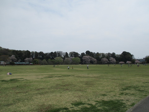 118小山総合公園13