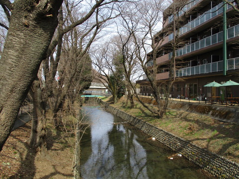 07日光橋5