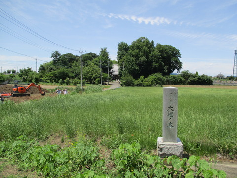 137徳星寺21