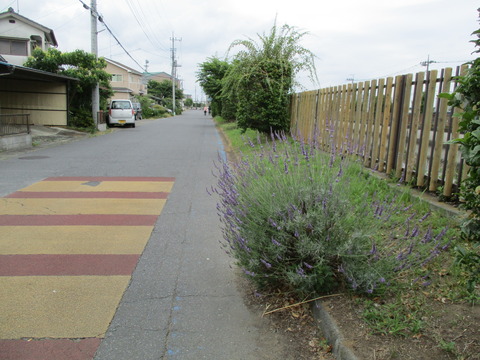 48川沿い