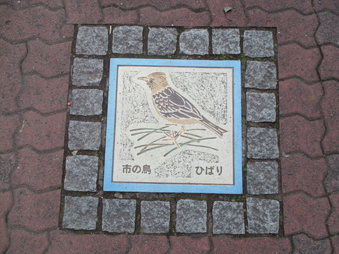 120ひばり